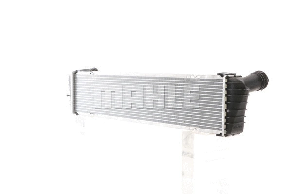 Radiator, engine cooling (WG2183996)