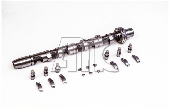 Camshaft Kit (WG2010549)
