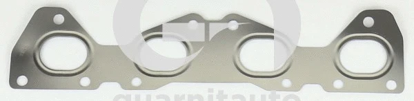 Gasket, exhaust manifold (WG2134998)