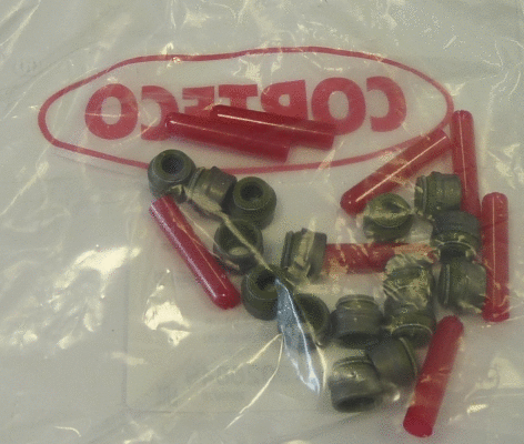 Seal Set, valve stem (WG1224646)