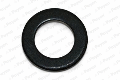 Seal Ring, oil drain plug (WG1939334)