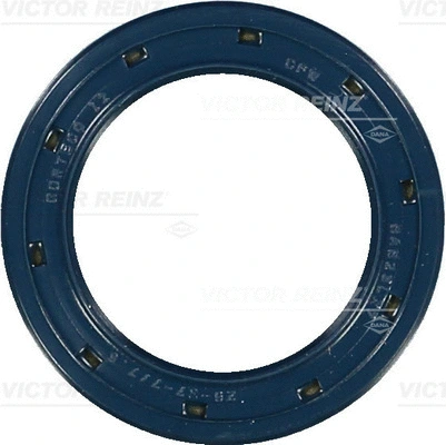 Shaft Seal, camshaft (WG1250127)