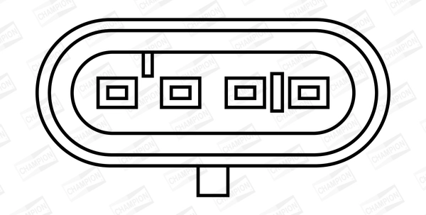 Ignition Coil (WG1093819)