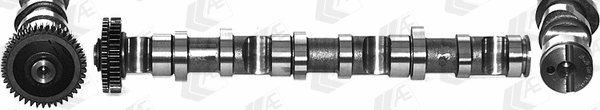 Camshaft (WG1462570)