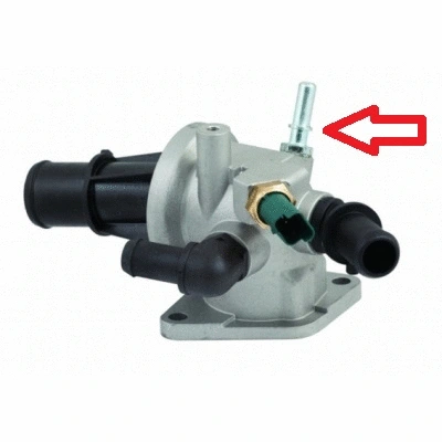 Thermostat, coolant (WG1409337)