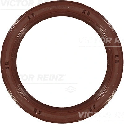 Shaft Seal, crankshaft (WG1250184)