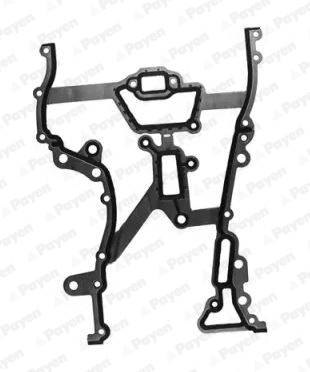 Gasket, timing case (WG1091088)