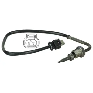 Sensor, exhaust gas temperature (WG1774458)