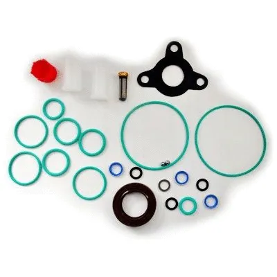 Seal Kit, injector pump (WG2263511)