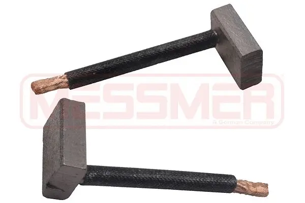 Carbon Brush, starter (WG2013660)
