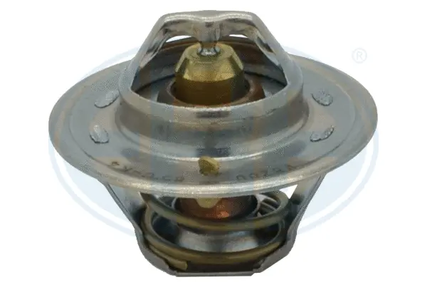 Thermostat, coolant (WG1493087)