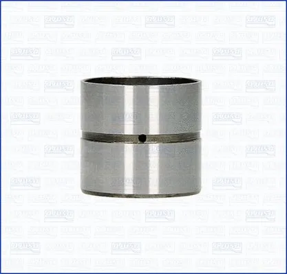 Tappet (WG1170649)