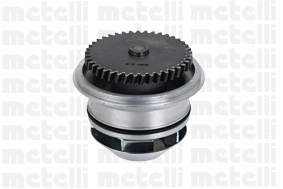 Water Pump, engine cooling (WG1790520)