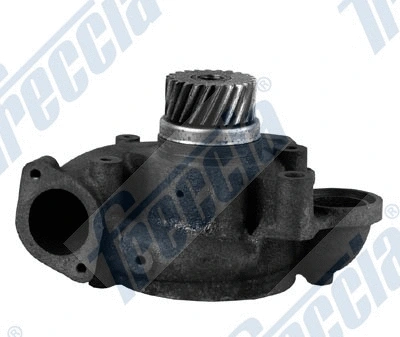 Water Pump, engine cooling (WG1920813)
