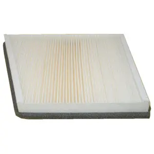 Filter, cabin air (WG1774642)