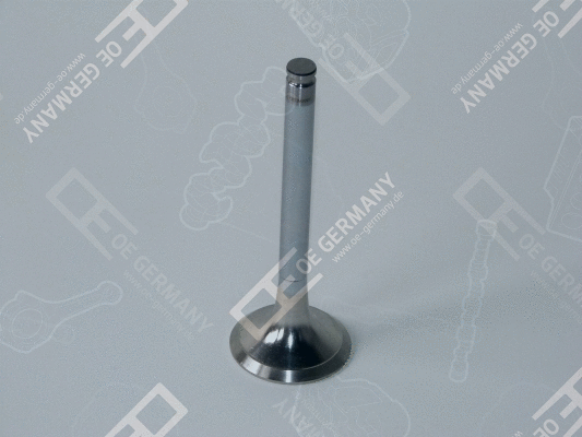 Exhaust Valve (WG1484884)