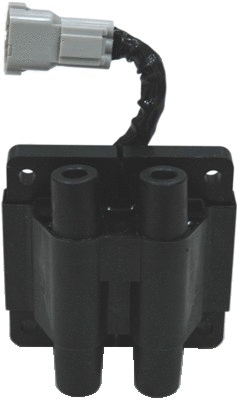 Ignition Coil (WG1012263)