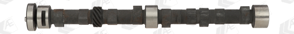 Camshaft (WG1171842)