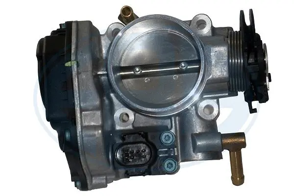 Throttle Body (WG1495011)