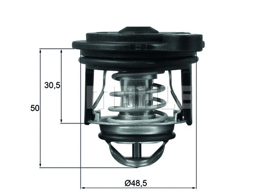Thermostat, coolant (WG1426510)