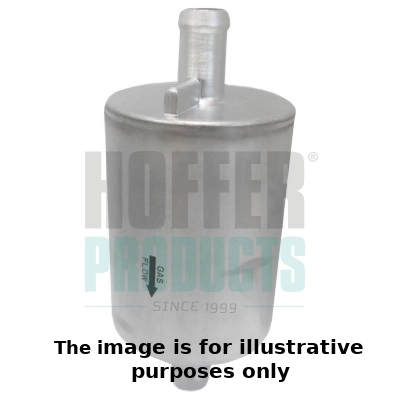 Fuel Filter (WG2042709)