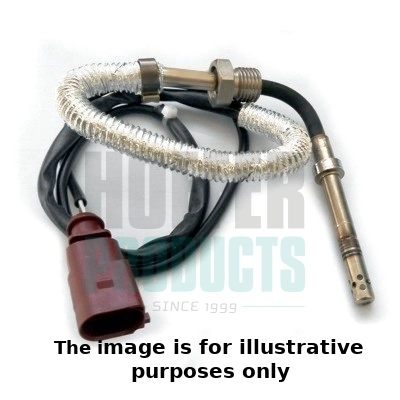 Sensor, exhaust gas temperature (WG1964742)