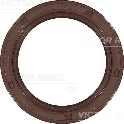 Shaft Seal, crankshaft (WG1379812)