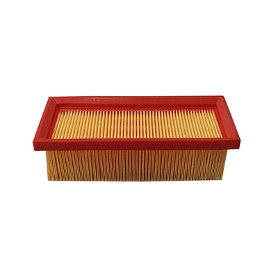 Air Filter (WG2152078)