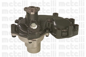 Water Pump, engine cooling (WG1790154)
