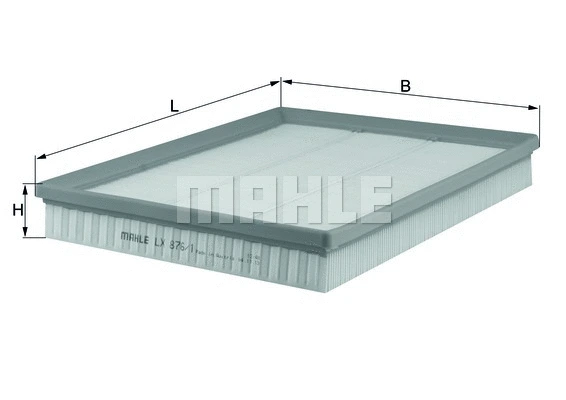 Air Filter (WG1216877)