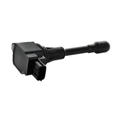 Ignition Coil (WG1902118)