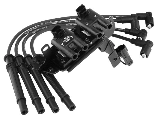 Ignition Coil (WG1487501)