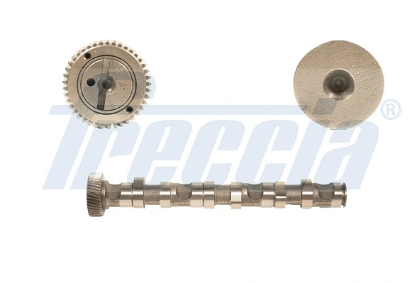 Camshaft (WG1155339)