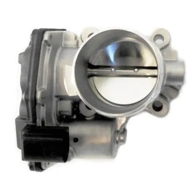 Throttle Body (WG1408842)