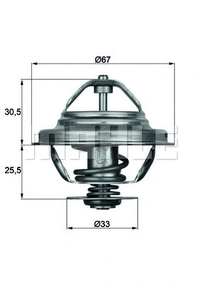Thermostat, coolant (WG1262727)