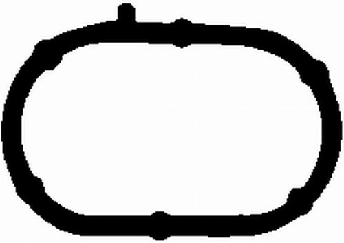 Gasket, intake manifold (WG1764183)