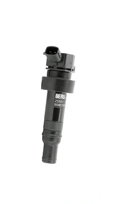 Ignition Coil (WG1756487)
