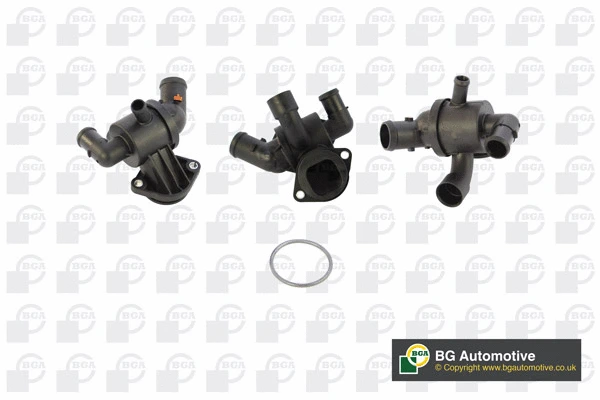 Thermostat, coolant (WG1760731)