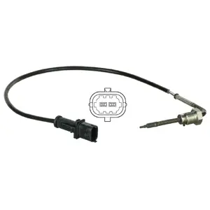 Sensor, exhaust gas temperature (WG1837896)
