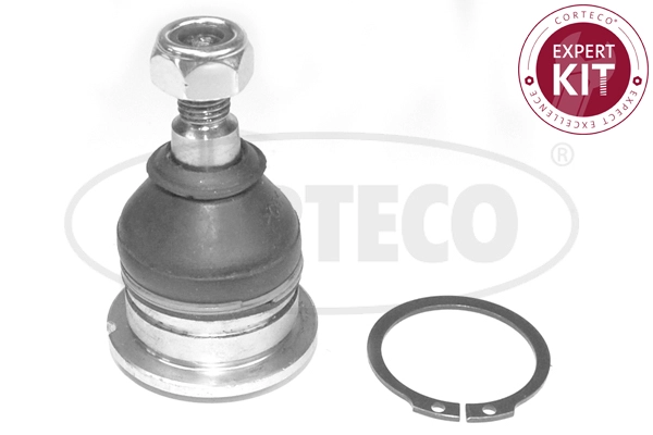 Ball Joint (WG2290463)