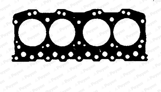 Gasket, cylinder head (WG1178369)