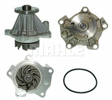 Water Pump, engine cooling (WG2181445)