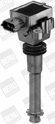 Ignition Coil (WG1487379)