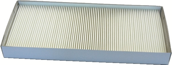Filter, cabin air (WG1747243)