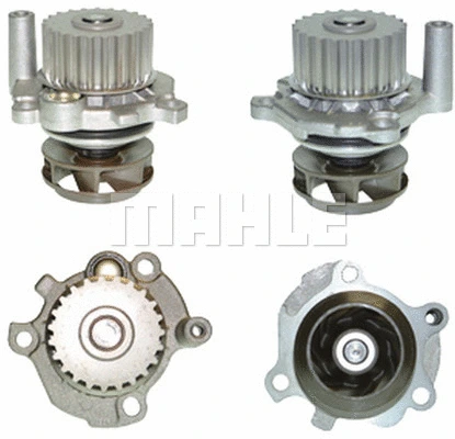 Water Pump, engine cooling (WG2181366)