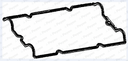 Gasket, cylinder head cover (WG2046509)