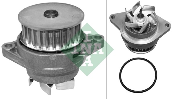 Water Pump, engine cooling (WG1254279)