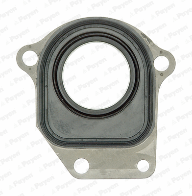 Shaft Seal, intermediate shaft (WG1183395)