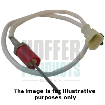 Sensor, exhaust gas temperature (WG1978130)