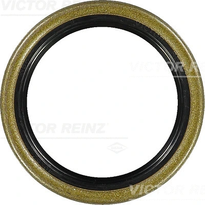 Shaft Seal, camshaft (WG1249871)